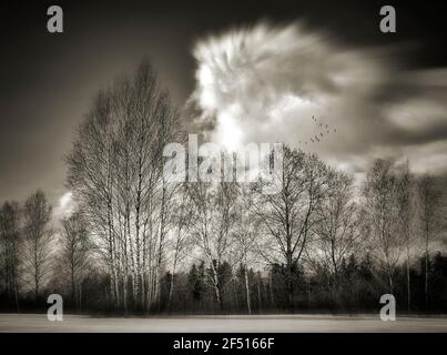 FOTOKUNST: Loisach Moor bei Benediktbeuern, Oberbayern, Deutschland Stockfoto