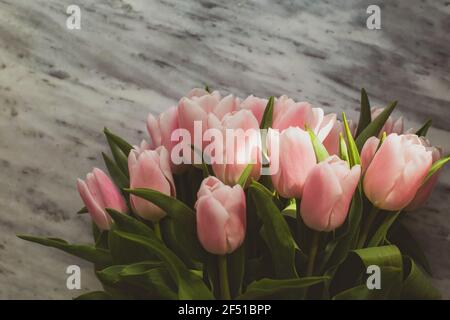 Rosa Tulpen auf Marmorboden, floraler Rand Stockfoto