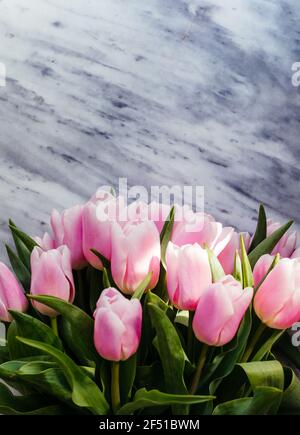 Rosa Tulpen auf Marmorboden, floraler Rand Stockfoto