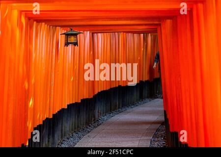 Um die Ecke der Torii Stockfoto