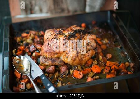 Hausgemachtes Brathähnchen mit gemischtem Gemüse und Thymian auf einem Bräter, frisch aus dem Ofen Stockfoto