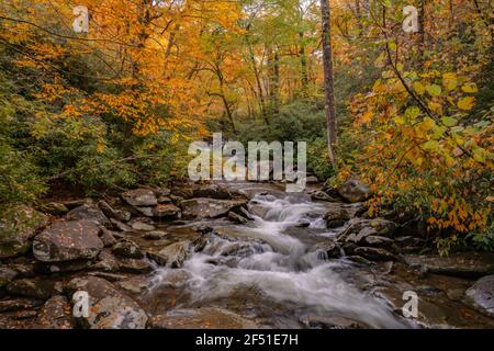 Schichten von Farben und Texturen entlang Rushing Creek in der Smokies Stockfoto