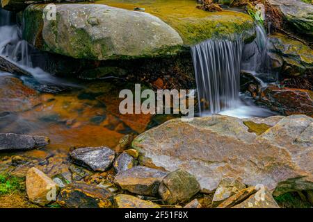Wasser fließt über einen Felsen in einem Bach. Stockfoto