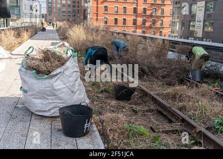 New York, NY - 23. März 2021: Das Gartenbauteam und die Freiwilligen der High Line bereiten den Park im Rahmen des jährlichen Spring Cutback auf die Frühjahrssaison vor Stockfoto