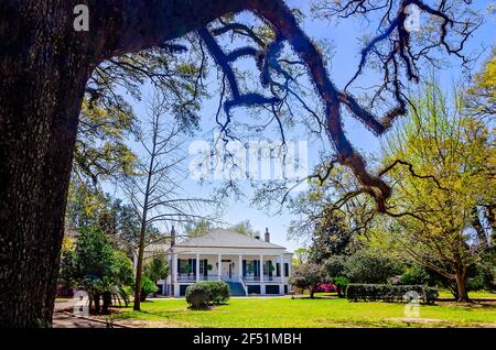 Stewartfield, ein 1849 griechisches Revival Cottage, ist auf der Avenue of Oaks im Spring Hill College, 21. März 2021, in Mobile, Alabama abgebildet. Stockfoto