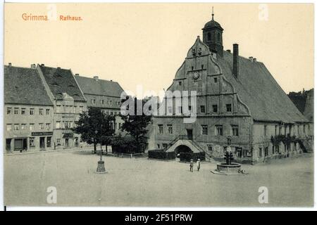 Markt mit Rathaus Grimma. Markt mit Rathaus Stockfoto