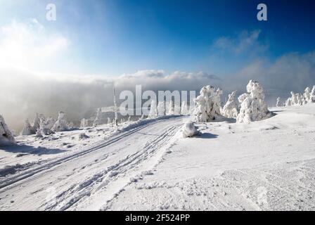 winterliche Landschaft Landschaft mit modifizierten Langlauf Ski Weg Stockfoto