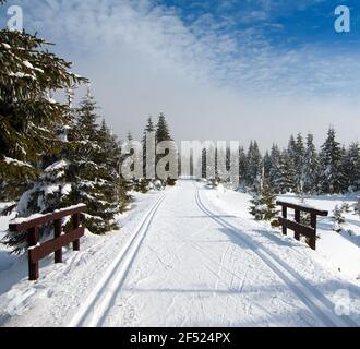 winterliche Landschaft Landschaft mit modifizierten Langlauf Ski Weg Stockfoto