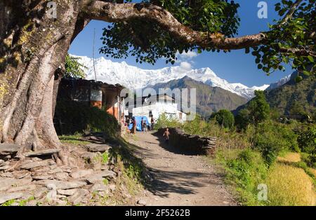 TAKAM DORF, NEPAL, 5th. OKTOBER 2013 - Leben unter himalaya - Dhaulagiri himal - Guerilla Trek in Westnepal Stockfoto