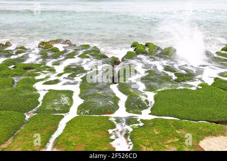 Laomei Green Reef, vulkanisches Gestein mit saisonalen Algen im Shimen District, New Taipei City, Taiwan Stockfoto