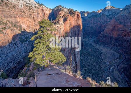 Der Kettenabschnitt des Angels Landing Trail im Zion National Park, Utah, USA Stockfoto