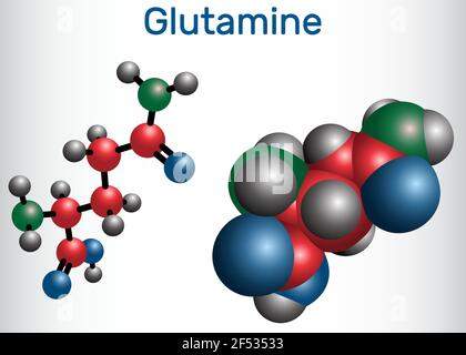 Glutamin (Gln , Q) Aminosäuremolekül. Strukturelle chemische Formel und Molekülmodell. Vektorgrafik Stock Vektor