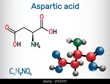 Asparaginsäure (L- Asparaginsäure, ASP, D, Aspartat) proteinogenes Aminosäuremolekül. Strukturelle chemische Formel und Molekülmodell. Vektor illustrr Stock Vektor