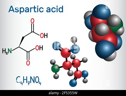 Asparaginsäure (L- Asparaginsäure, ASP, D, Aspartat) proteinogenes Aminosäuremolekül. Strukturelle chemische Formel und Molekülmodell. Vektor illustrr Stock Vektor