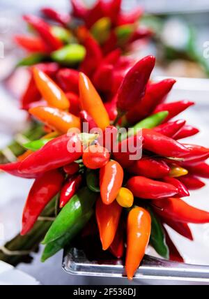 Eine Gruppe von verschiedenen Arten und Farben von Chilli Stockfoto