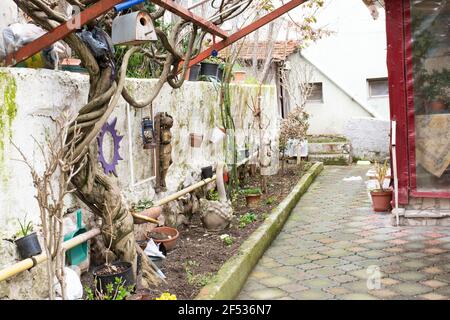 Das alte rosa Haus ist in den letzten Tagen des Winters. Die Bäume sind noch trocken. Mit zwei Etagen und einem Garten. Stockfoto