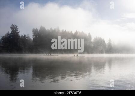 Ruderclub Training auf dem Fluss an einem nebligen Frühlingsmorgen. Ruhige Szene in einem Naturpark. Stockfoto
