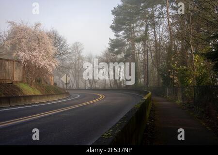 Kurvenreiche Landstraße an einem nebligen Frühlingsmorgen. Stockfoto