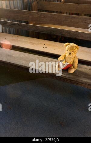 Ein alter verlorener Teddybär auf einer Kirchenbank in einer verödelten alten Landkirche wartet darauf, dass sein Besitzer zurückkommt. Stockfoto