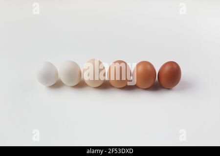 Verschiedene braune Farben Eier auf weißem Hintergrund. Farbverlauf. Zero Waste Osterkonzept. Stockfoto