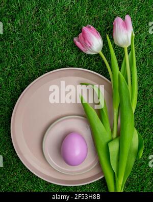 Draufsicht, rosa gefärbte Tulpen mit einem rosa Osterei in Teller auf Gras. Stockfoto