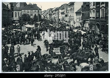 Pferdemarkt Liebenwerda. Pferdemarkt Stockfoto