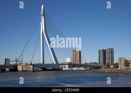 Geographie / Reisen, Niederlande, Holland, Rotterdam, Erasmus-Brücke, River Nieuwe Meuse, mehrstöckig, Additional-Rights-Clearance-Info-not-available Stockfoto