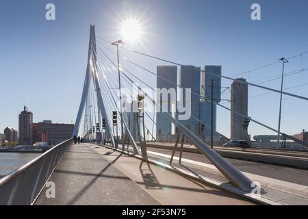 Geographie / Reisen, Niederlande, Holland, Rotterdam, Skyline, Erasmus-Brücke, Erasmusbrug, Fluss Nieuw, Additional-Rights-Clearance-Info-not-available Stockfoto