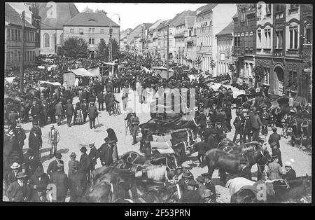 Liebenwerda. Pferdemarkt Stockfoto