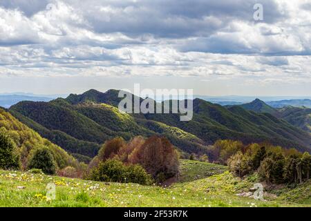 Grüne Berggipfel teilweise von der Sonne beleuchtet. Wald und grüne Wiese im Vordergrund. Katalonien, Spanien Stockfoto