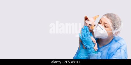 Banner, Langformat. Eine Tierärztin in einer medizinischen Uniform und einer Schutzmaske hält sanft eine Fuchskatze vor einem grauen Hintergrund mit leerem Stockfoto