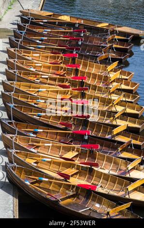 Ruderboote standen am Ufer des River Wear in Durham, Großbritannien, an und warteten darauf, ausgeliehen zu werden. Stockfoto