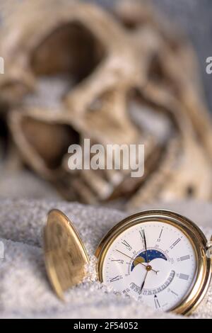 Makrofotografie Konzept Zeit und Tod eine Taschenuhr im Fokus im Hintergrund ein verschwommener Spielzeugschädel. Stockfoto