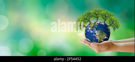 Glühender Baum auf dem Planeten Erde in der Hand. Grüner Hintergrund mit Bokeh. Welt geistige Gesundheit und Welt-Erde-Tag. Von der NASA eingerichtete Elemente. Umwelt sparen Stockfoto