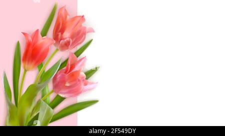 Bouquet von realistischen Tulpen auf einem rosa Hintergrund. Zusammensetzung der rosa Tulpen Knospen. Vorlage für Einladungskarte, Banner, Poster mit Frühlingsblumen Stock Vektor