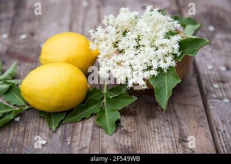 Frische Zitronen und Holunderblütenzweig auf Holzhintergrund, warme oder Limonade Zutaten Stockfoto