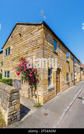 Typische Cotswold Steinschieferdachhäuser am Straßenrand in Chipping Campden, einer kleinen Marktgemeinde in den Cotswolds in Gloucestershire Stockfoto