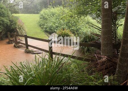 Überfluteter australischer Privatgarten nach 500 mm Regen, März 2021. Das Wasser ist vom kleinen Bach bis zur schnell fließenden Sintflut fast 2 Meter gestiegen. Stockfoto