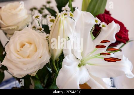 Ein Geburtstagsstrauß aus weißen Lillies und roten Rosen für eine besondere Dame, Nothampton, England, Großbritannien. Stockfoto