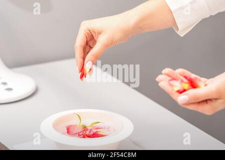 Die weiblichen Hände der Kosmetikerin bereiten das Maniküre-Bad mit Rot und Rosa vor rosenblüten auf dem Tisch im Spa Stockfoto