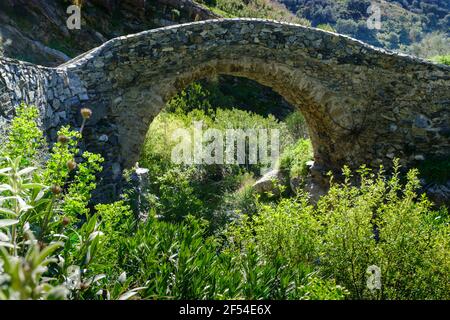 Die römische Brücke in der Nähe des Dorfes Sedella, Axarquia, Andalusien, Costa del Sol, Spanien, Europa Stockfoto