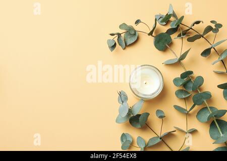 Schöner Eukalyptus und Kerze auf beigem Hintergrund Stockfoto