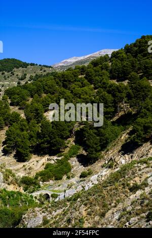 Die römische Brücke in der Nähe des Dorfes Sedella, Axarquia, Andalusien, Costa del Sol, Spanien, Europa Stockfoto