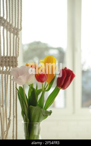 Schöne Frühling bunten Tulpen in einem hellen Interieur neben Macrame Stockfoto