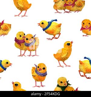 Aquarell handgezeichnete Ilustration von verschiedenen kleinen Hühnern in Cartoon Stil in nahtlosen Muster auf weißem Hintergrund.Design Kinder Illustration Stockfoto