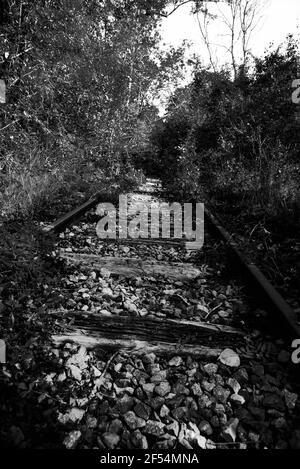 Herbst romantische Landschaft mit verlassenen Eisenbahn durch Wald. Frankreich. Verlassene Orte Romantik Konzept. Schwarz weiß historisches Foto. Stockfoto