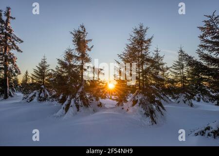 Geographie / Reisen, Deutschland, Niedersachsen, Nationalpark Harz, Winterlandschaft am Abend, Zusatz-Rights-Clearance-Info-not-available Stockfoto