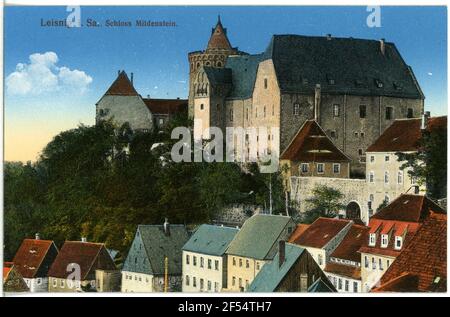 Geschlossen Mildenstein Leisnig. Schloss Mildenstein Stockfoto