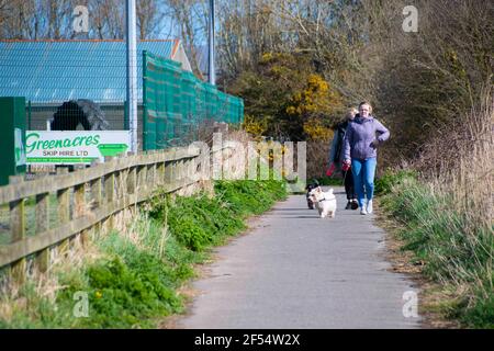 Fishguard, Pembrokeshire, großbritannien .24. März 2021. Zwei Damen und zwei Hunde nehmen in der Sonne zu Fuß die Hunde als Sonnenschein . Kredit: Debra Angel/Alamy Live Nachrichten Stockfoto