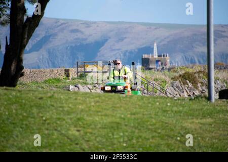 Fishguard, Pembrokeshire, großbritannien .24. März 2021. Arbeiter in ihren hohen VIS Jacken fahren auf Gras Schneider wie mehr Besucher ankommen, Pembrokeshire County Council hat daher eine schwierige, ein Gleichgewicht zu finden, da einige Schneiden ist wichtig für die Sicherheit Zwecke, aber es ist sehr daran interessiert, al wilde Tiere gedeihen, wo immer möglich. . Kredit: Debra Angel/Alamy Live Nachrichten Stockfoto